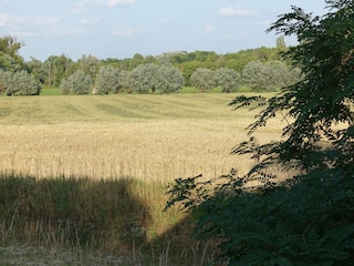 Casa per le vacanze Ketzin Registrazione all'aperto 9