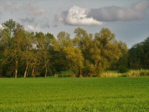 Ferienhaus van Landhuis Arcadia
