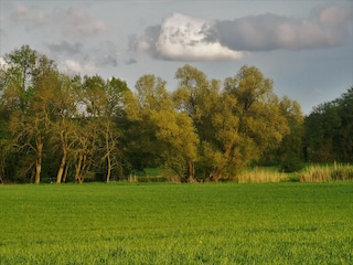 Casa per le vacanze Ketzin Registrazione all'aperto 1
