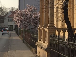 Casa per le vacanze Ketzin Ambiente 25