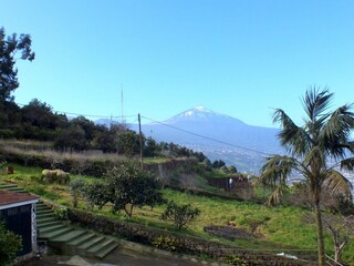 Finca Santa Ursula Environnement 22