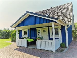 Ferienhaus Blaues  Haus am Deich - Wesselburenerkoog - image1