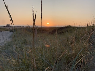 Einzigartige Dünenlandschaft