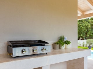 Villa Barban Außenaufnahme 10