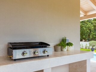 Villa Barban Buitenaudio-opname 10