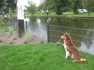 Casa per le vacanze Hulshorst Registrazione all'aperto 6