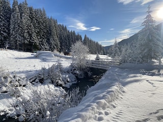 Wanderweg am Falkert