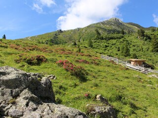 Holiday apartment Falkertsee Environment 25