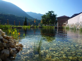Naturnaher Schwimmteich mit Liegewiese