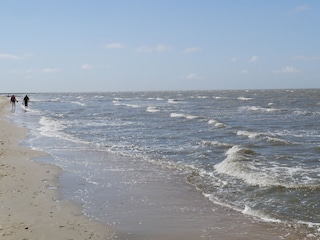 Schöne spaziergänge am Strand sind ein Traum