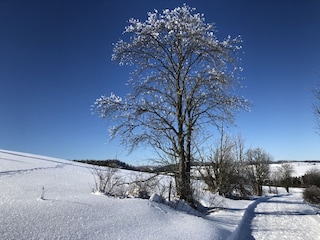 Winter (gleich nebenan)