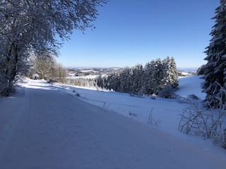 Winter (gleich nebenan)