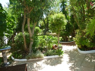 Maison de vacances Cabanas Environnement 12