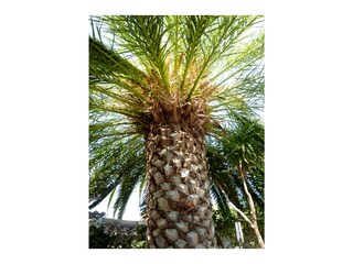 Vakantiehuis Cabanas Buitenaudio-opname 3