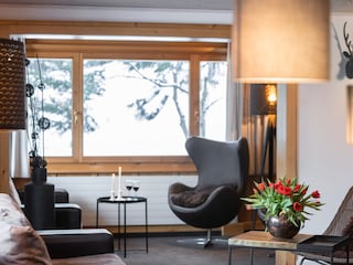 Chalet Davos Living Room 10