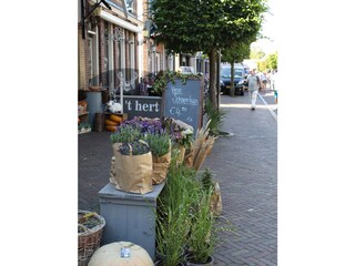 Vakantiehuis Rohel Omgeving 20