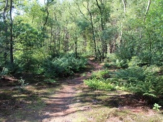 Vakantiehuis Rohel Omgeving 17