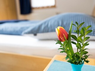 Schlafzimmer "Gletscherblick"