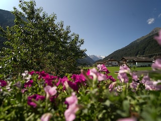 Ausblick zum Gletscher