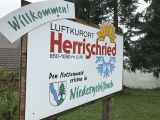 Apartment Rickenbach (Hotzenwald) Umgebung 38