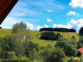 Apartment Rickenbach (Hotzenwald) Außenaufnahme 7