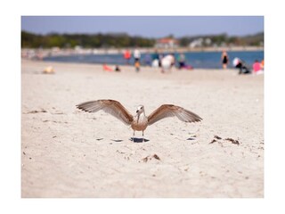 Ostseebad Boltenhagen - Blick auf den Strand