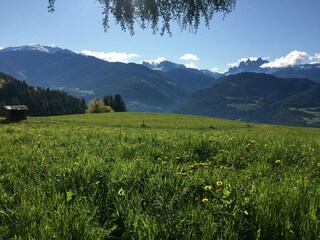 Vakantieappartement Klausen (Südtirol) Omgeving 20