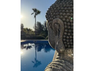 Tenuta S'Alqueria Blanca Registrazione all'aperto 23