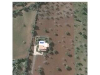 Tenuta S'Alqueria Blanca Ambiente 40