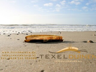 Casa per le vacanze De Koog Documento 28