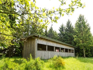 Rotwild-Aussichtsempore im Nationalpark Eifel