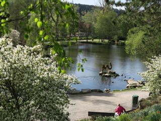 Appartement Hahnenklee Environnement 28
