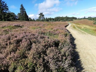 Vakantiehuis Medebach Omgeving 19