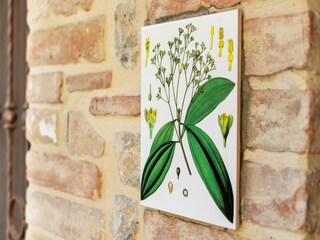 Casa per le vacanze Tavernelle  27