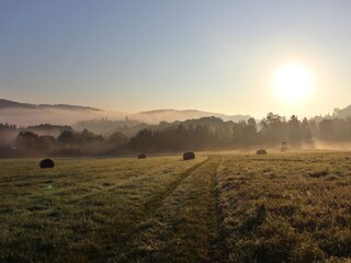 um Altenbrak in den frühen Morgenstunden
