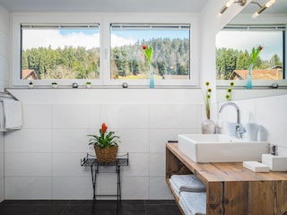 Appartamento per vacanze Hörbranz Caratteristiche 16