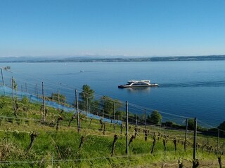 car ferry Meersburg-Constance