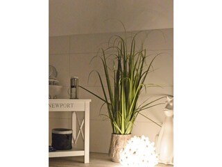 Appartement de vacances Kappeln (Stadt) Équipement 20