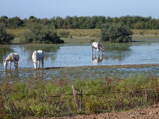 Casa per le vacanze Portiragnes Ambiente 19