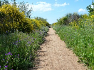 Casa per le vacanze Portiragnes Ambiente 16