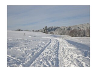 Casa de vacaciones Güntersberge Entorno 15
