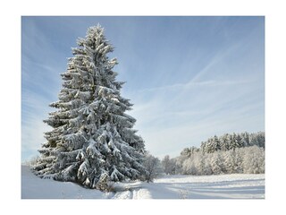 Casa per le vacanze Güntersberge Ambiente 16