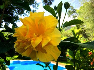 Vakantiehuis Torre delle Stelle Buitenaudio-opname 6