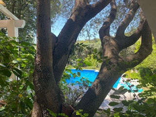 Villa Villasimius Außenaufnahme 8