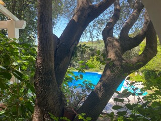 Villa Villasimius Grabación al aire libre 8