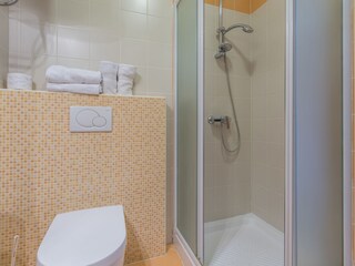 Villa Koromacno Caratteristiche 15