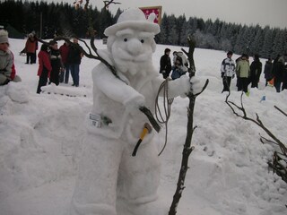 Appartamento per vacanze Schmiedefeld Ambiente 17