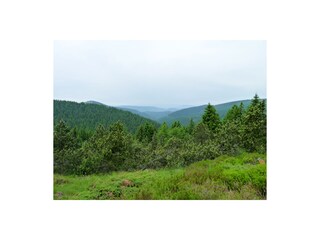 Appartamento per vacanze Schmiedefeld Ambiente 18