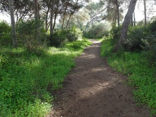 Kurzer Wanderweg zum Strand