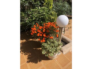 Villa Cala Murada Buitenaudio-opname 28